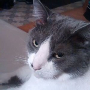 Meet your Posher, Évangéline bébé